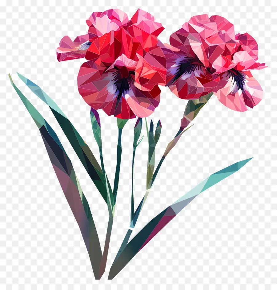 Digital Bunga，Iris Merah Muda PNG