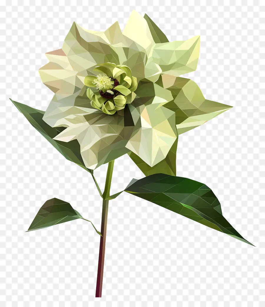 Digital Bunga，Camellia Putih PNG