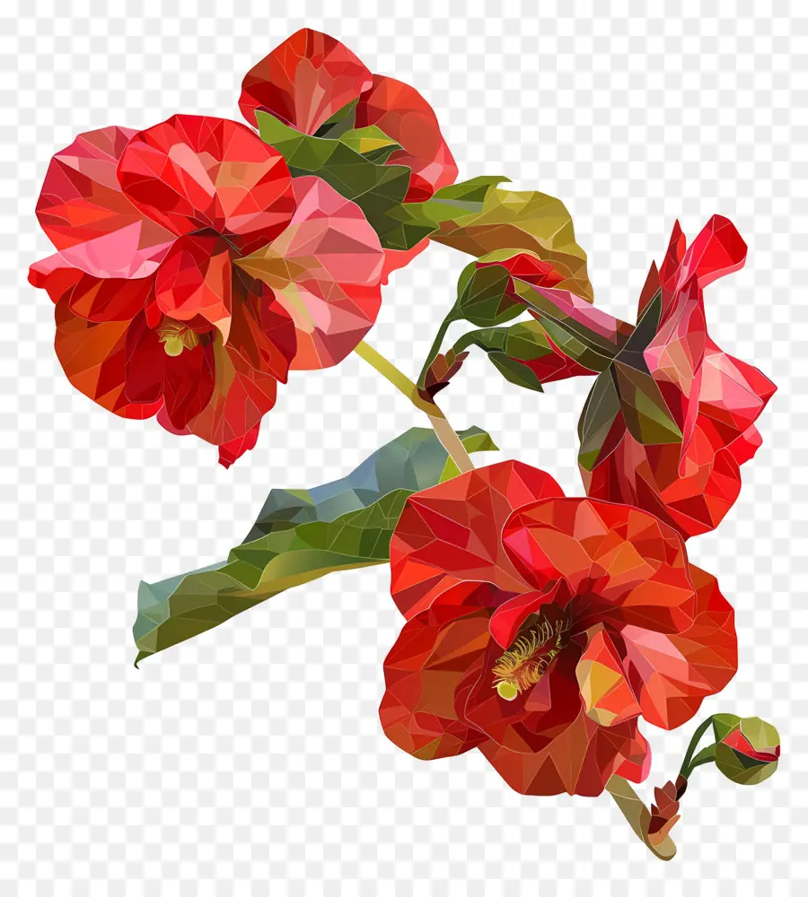 Digital Bunga，Bunga Kembang Sepatu Merah PNG