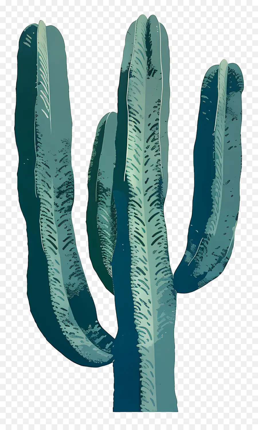 Kaktus，Tanaman Kaktus PNG