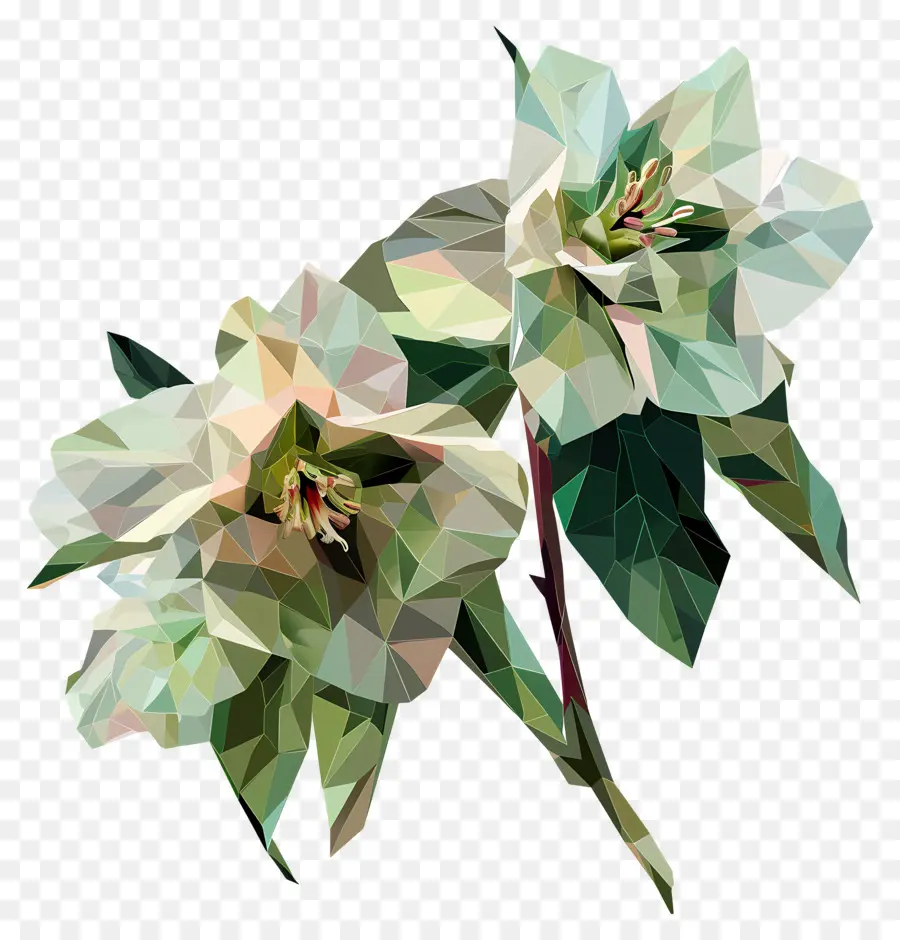 Digital Bunga，Bunga Putih PNG