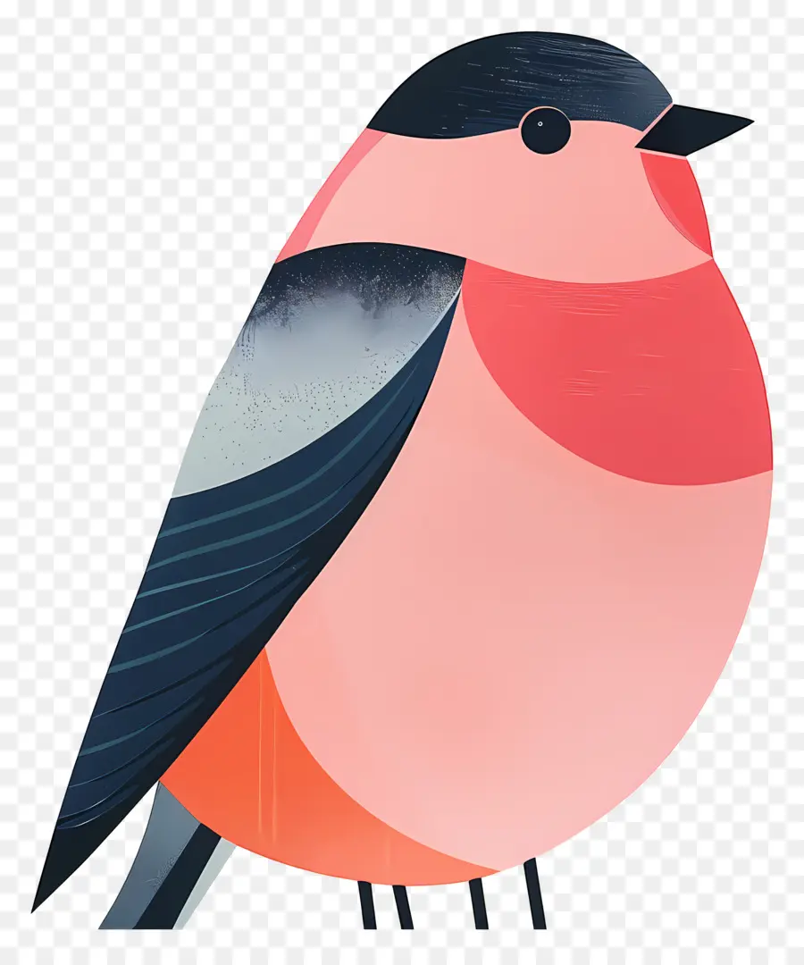 Burung，Redcrested Kardinal PNG