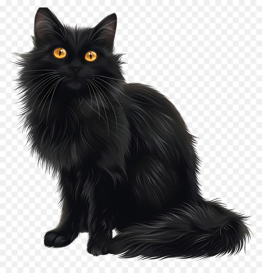 Kucing Hitam，Anak Kucing Hitam PNG