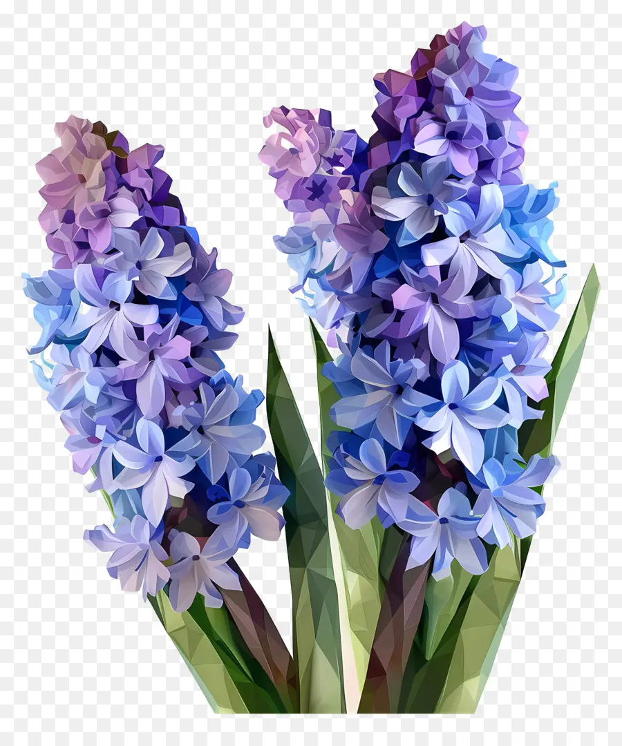 Digital Bunga，Hyacinths Ungu PNG