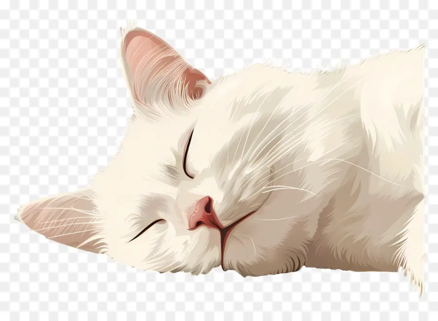 Kucing Tidur，Kucing Putih PNG