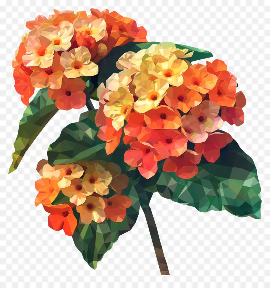 Seni Bunga Digital，Bunga Kembang Sepatu PNG