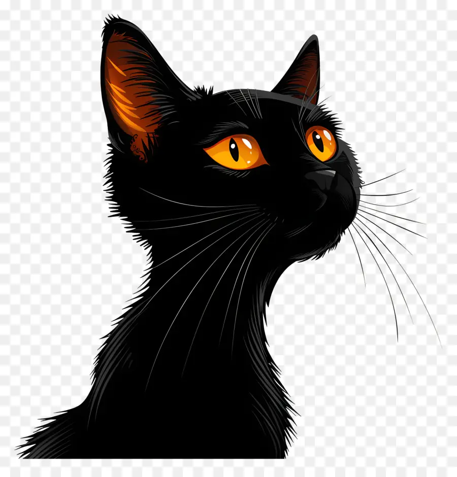 Kucing Hitam，Mata Oranye PNG