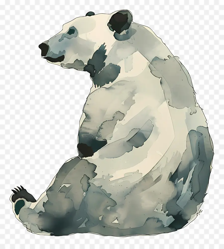 Beruang，Beruang Coklat PNG
