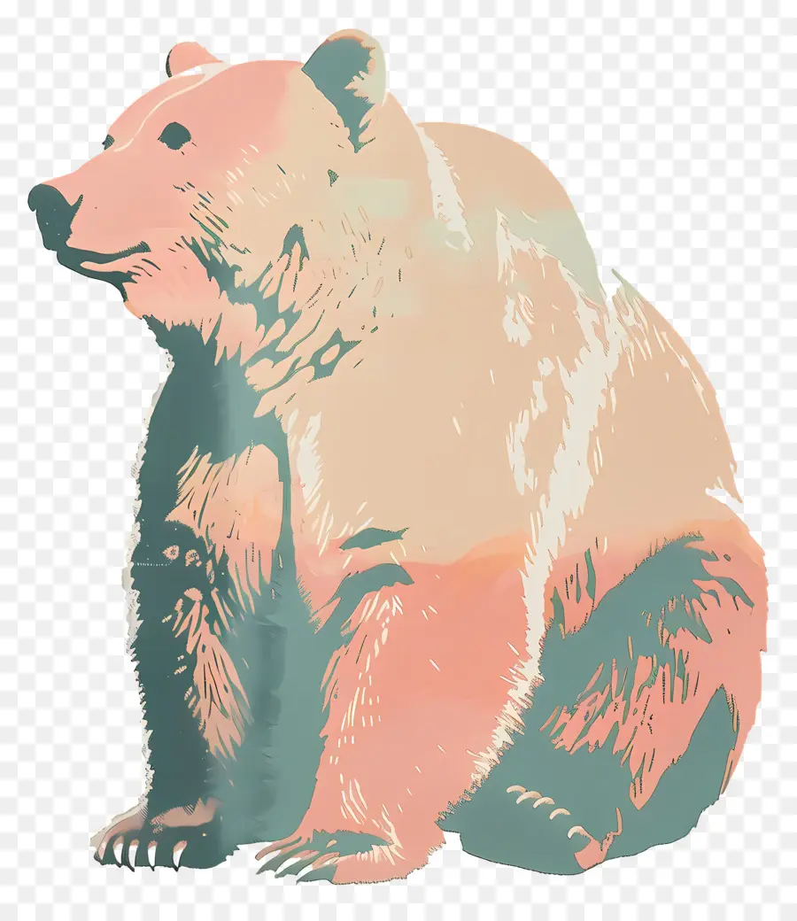 Beruang，Sweater Putih PNG