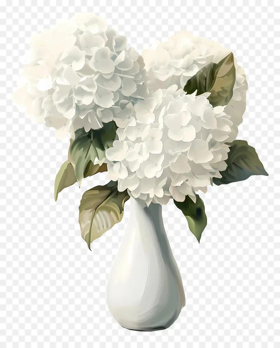 Hydrangea Putih，Bunga PNG