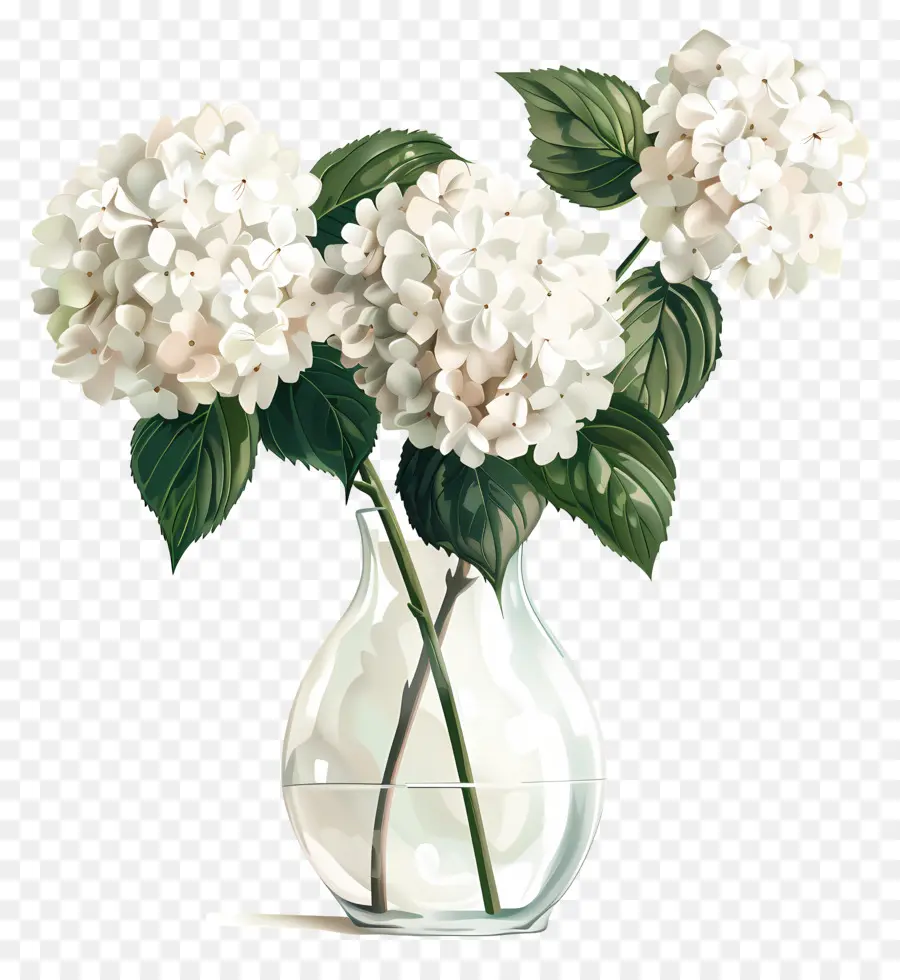 Hydrangea Putih，Vas Kaca Bening PNG