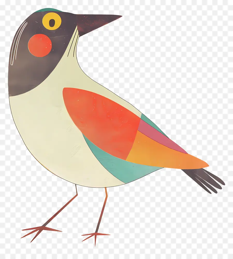 Burung，Orange PNG