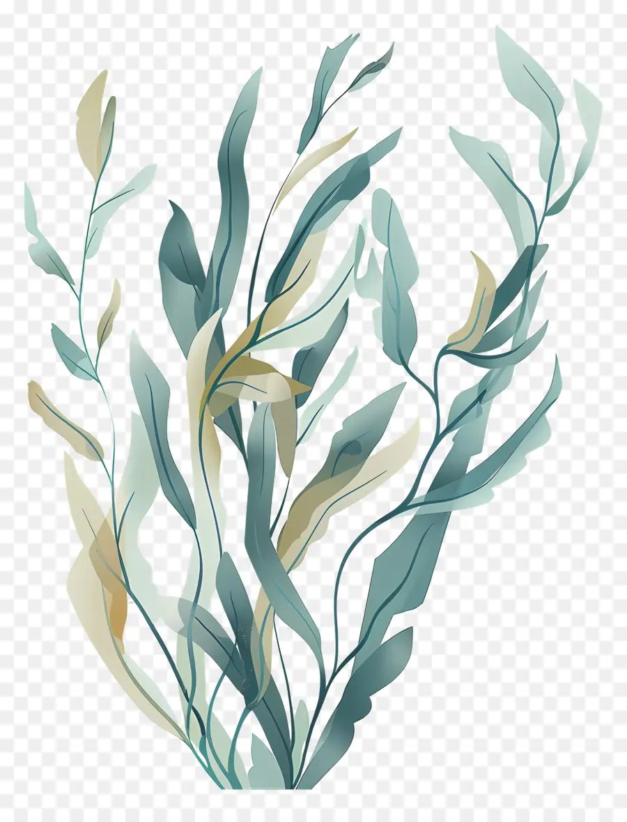Rumput Laut Rumput Laut，Lukisan Rumput Laut PNG