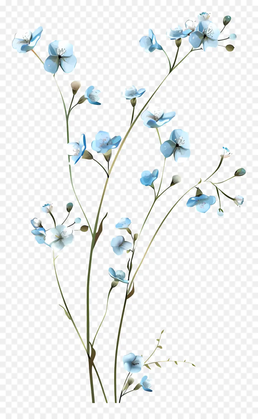 Bunga Bunga Biru，Hitam Dan Putih PNG
