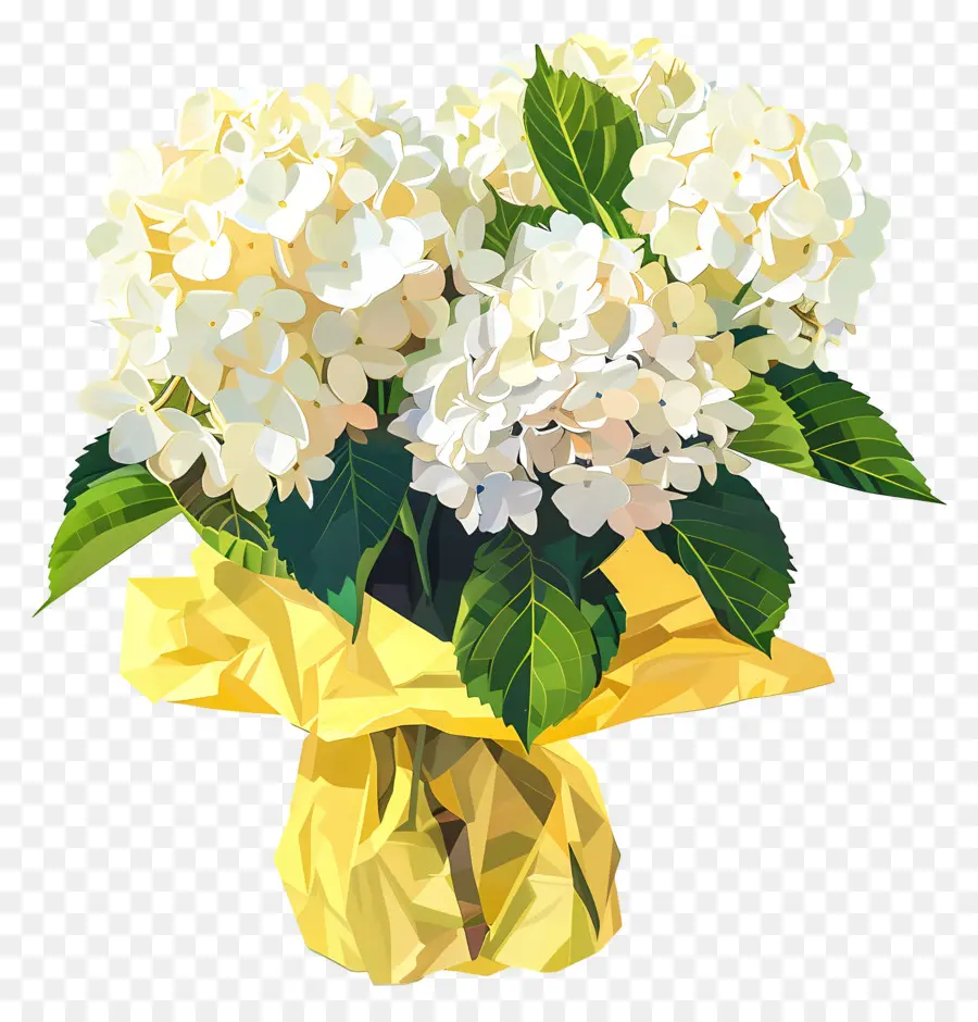 Hydrangea Putih，Bunga PNG