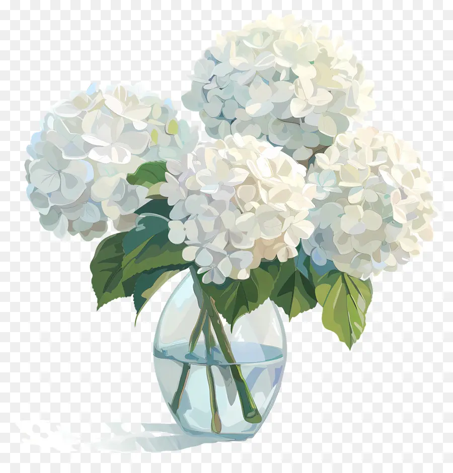 Hydrangea Putih，Vas PNG