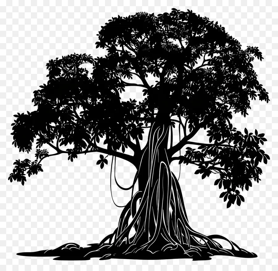 Pohon Beringin，Pohon PNG