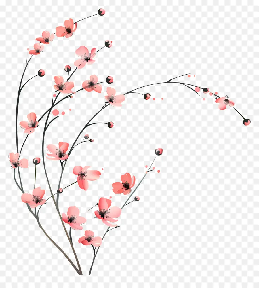 Bunga Merah Muda，Serbuk Sari Putih PNG