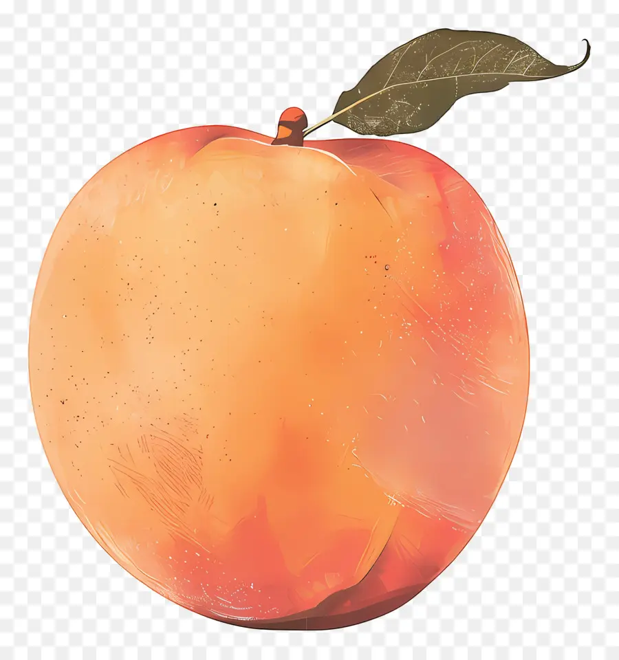 Persik，Persik Oranye PNG