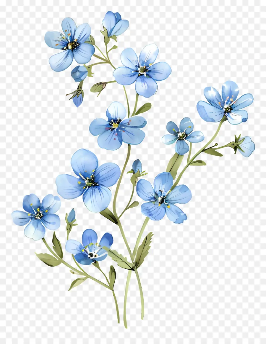 Bunga Bunga Biru，Lupakan Aku Bukan Bunga PNG