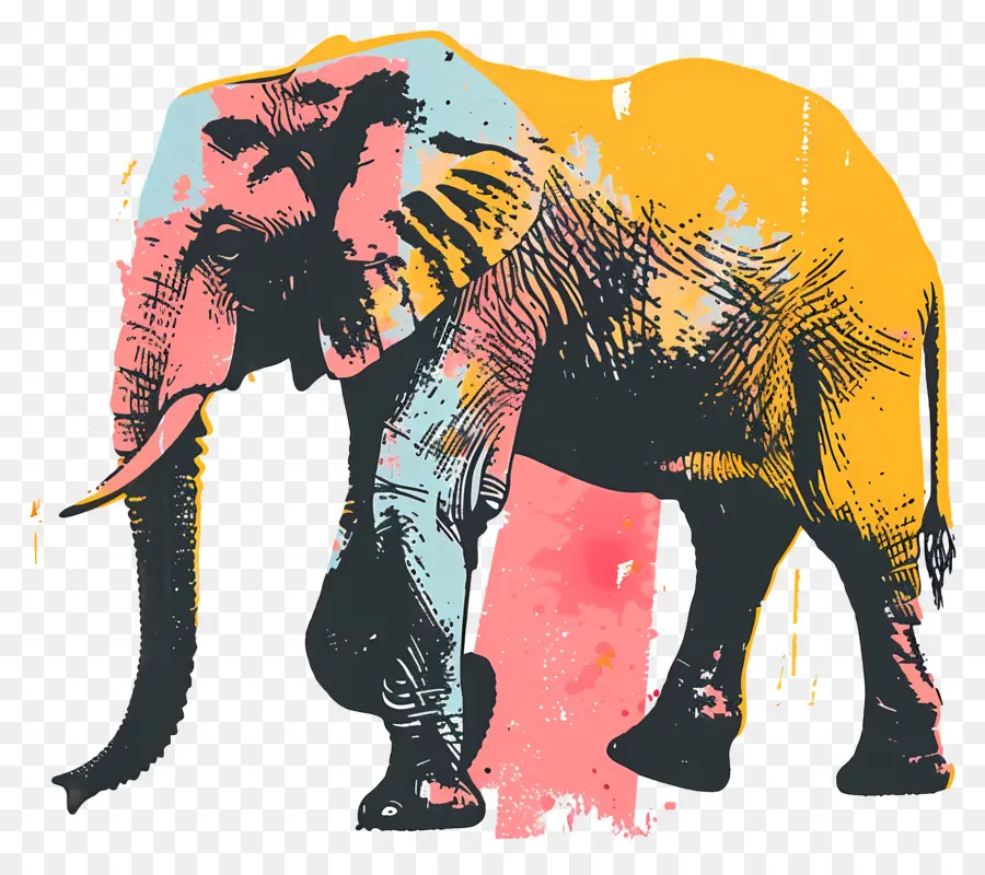 Gajah，Lukisan Berwarna Warni PNG