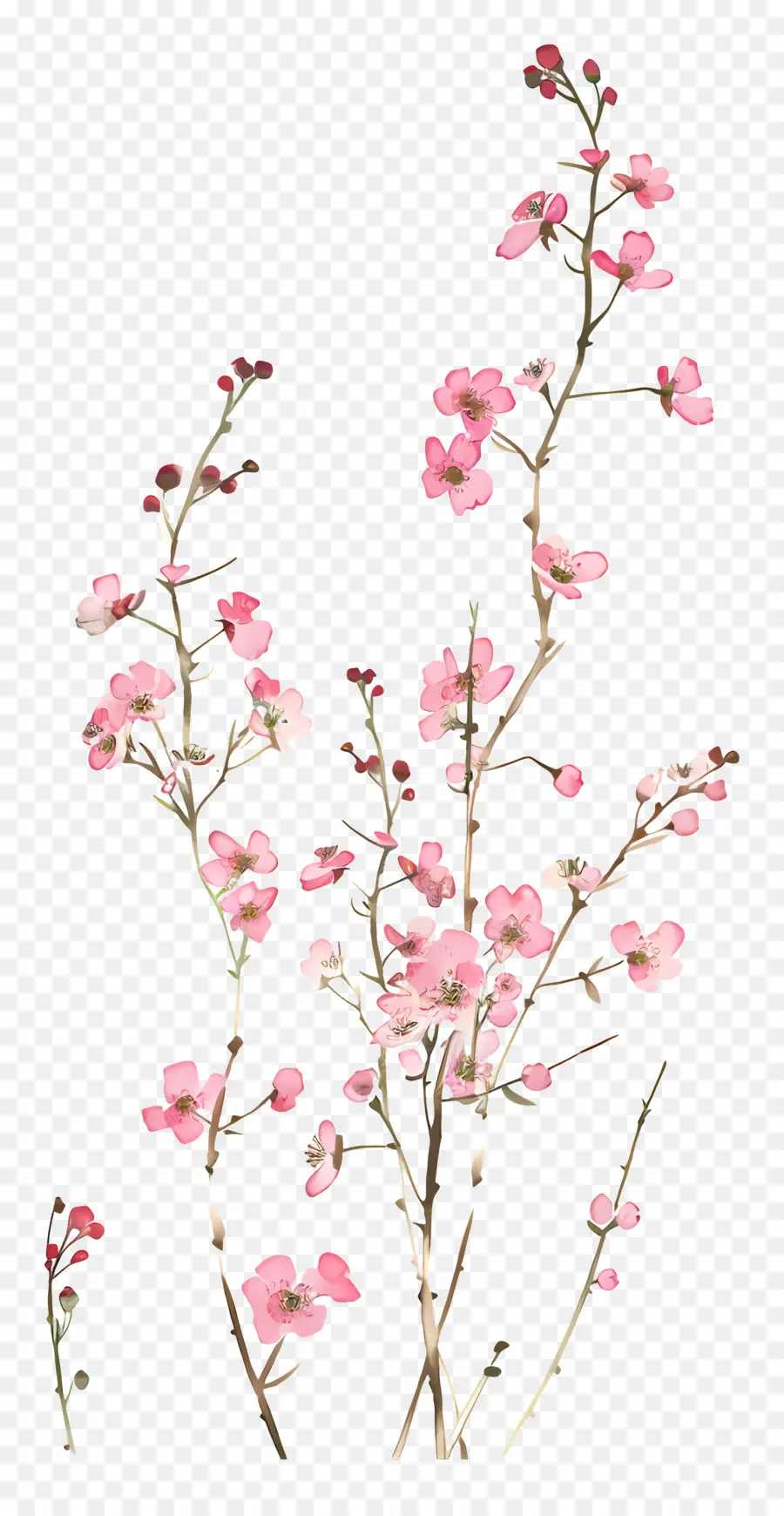 Bunga Merah Muda，Karangan Bunga PNG