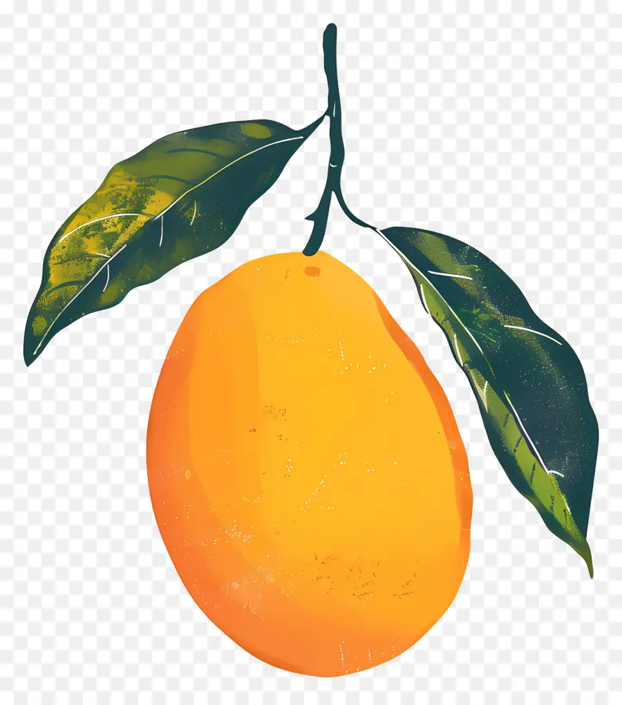 Mangga，Orange PNG