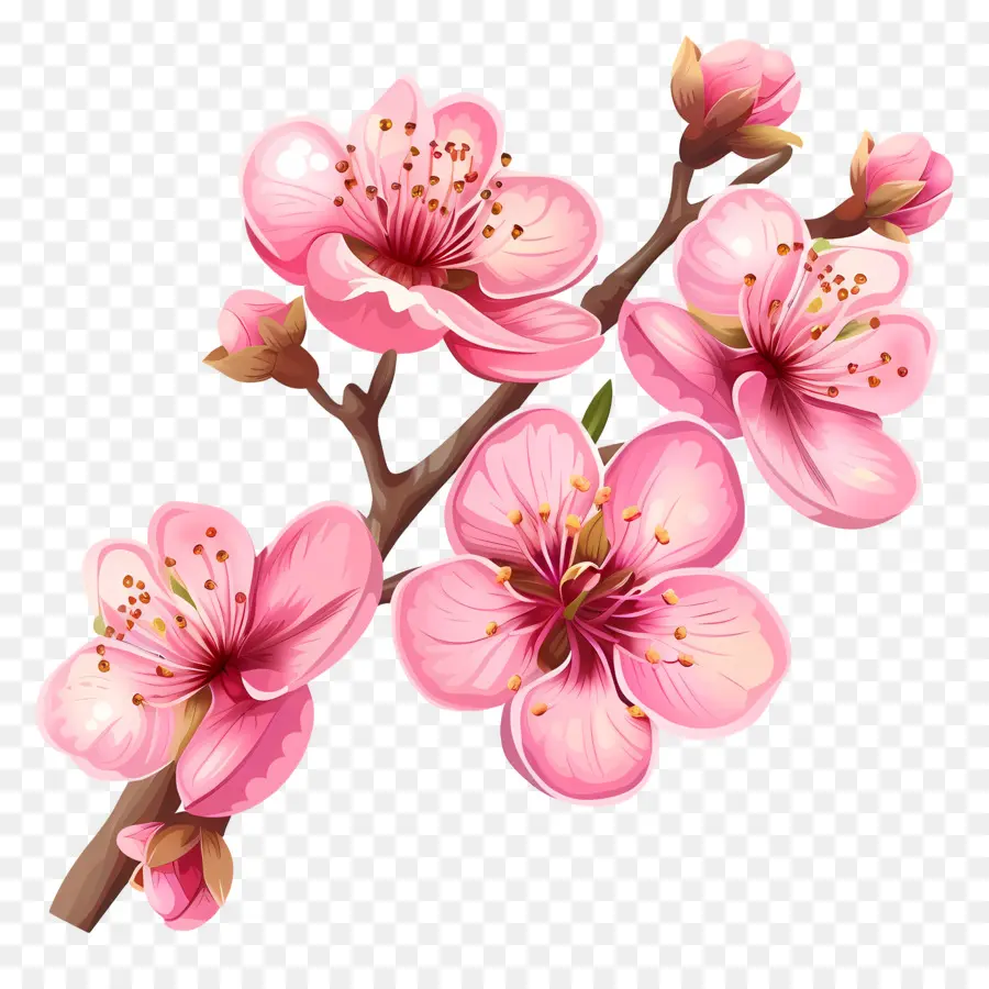 Bunga Merah Muda，Bunga Sakura PNG