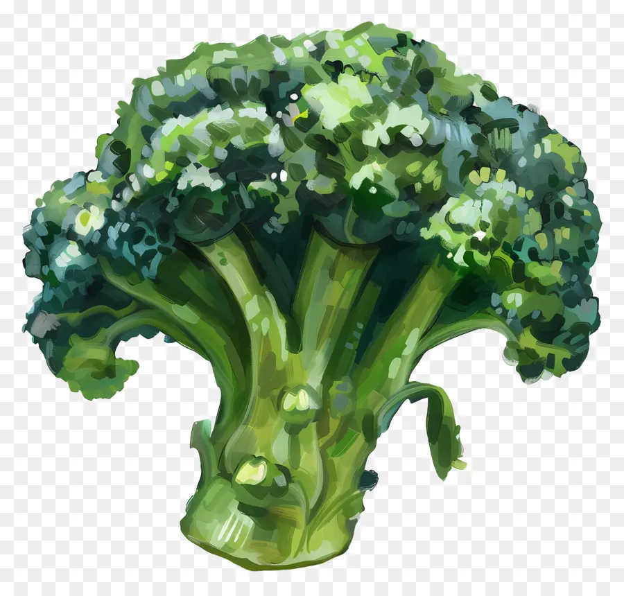 Brokoli，Segar PNG