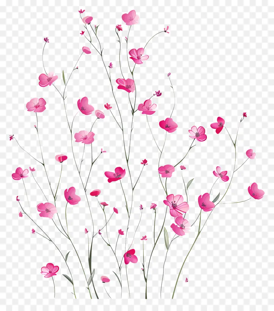 Bunga Merah Muda，Karangan PNG
