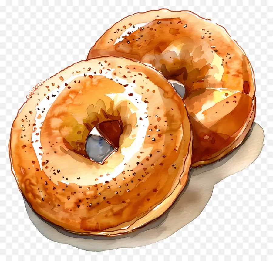 Bagel，Donat PNG