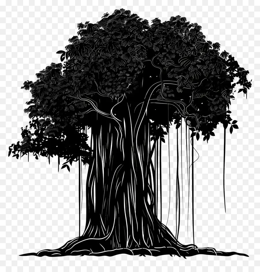 Pohon Beringin，Hitam Dan Putih PNG