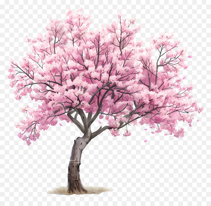 Mekar Pohon，Sakura PNG