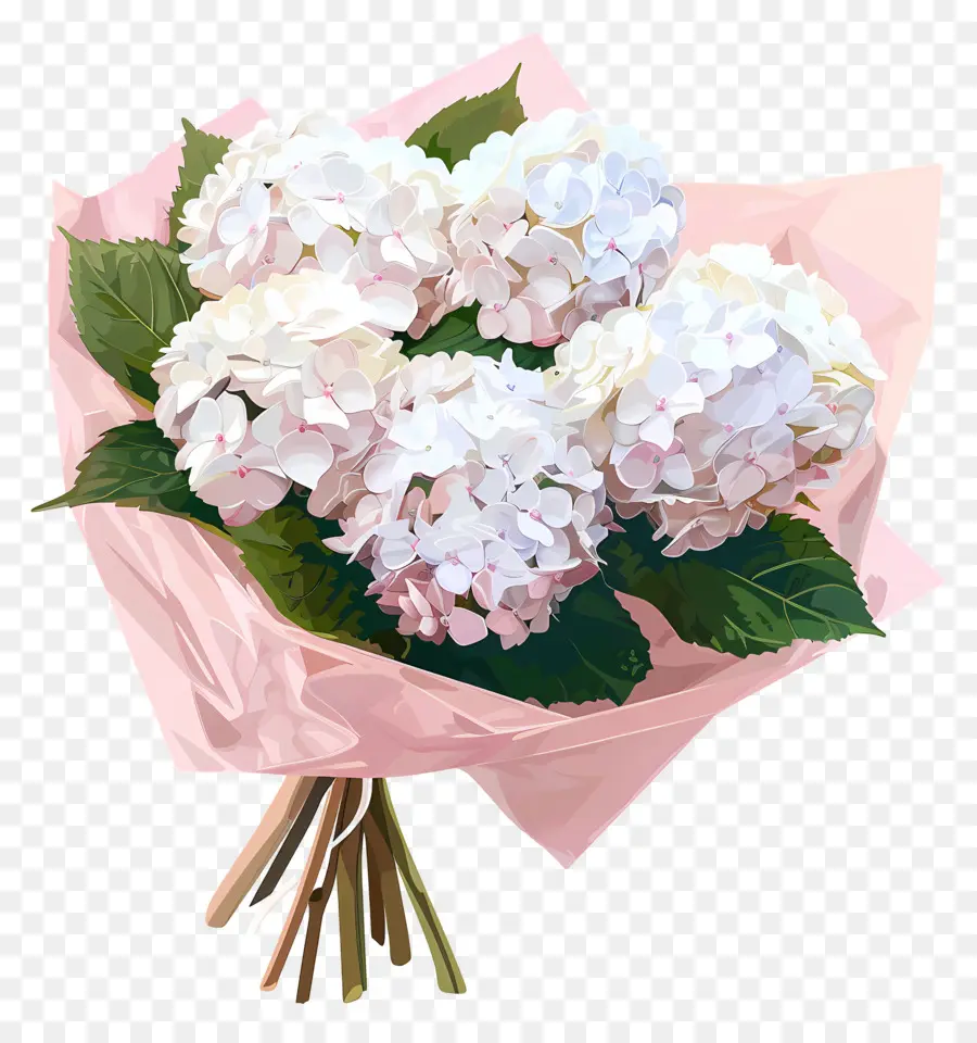 Hydrangea Putih，Mawar Merah Muda PNG