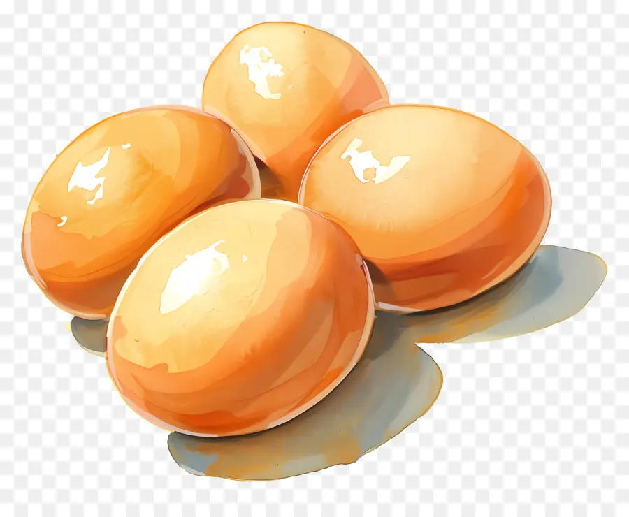 Telur，Telur Segar PNG