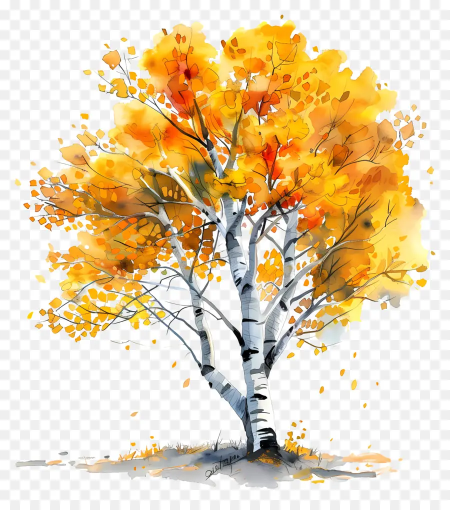 Pohon Aspen，Pohon Musim Gugur PNG