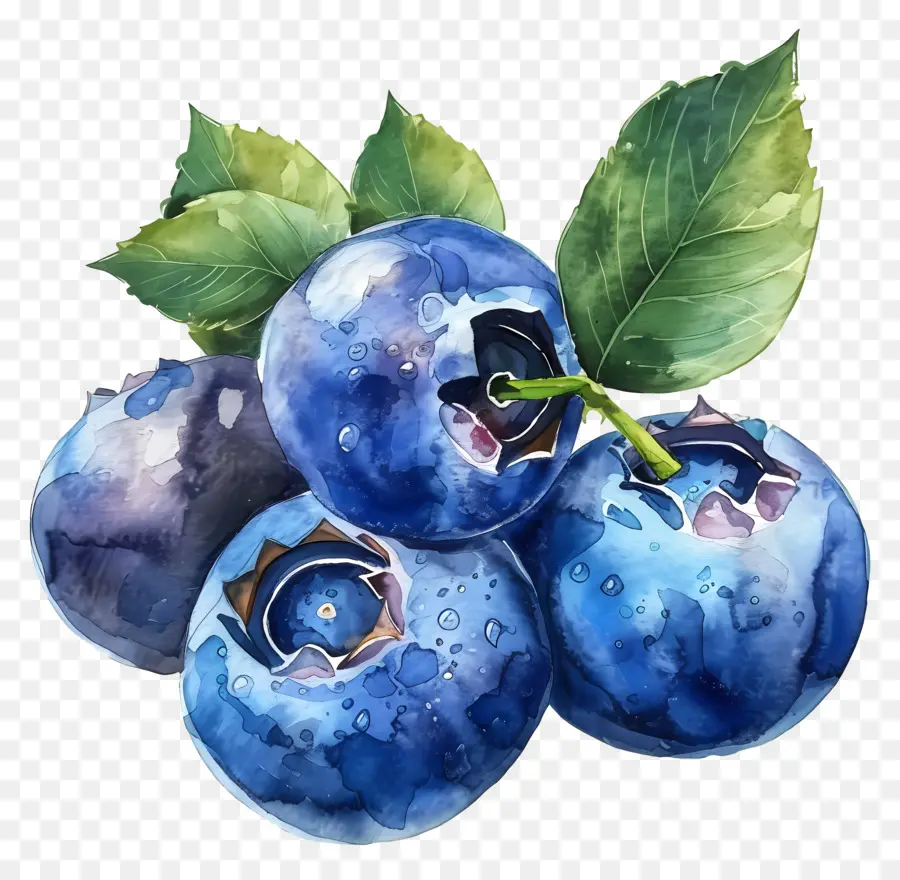 Blueberry，Buah PNG