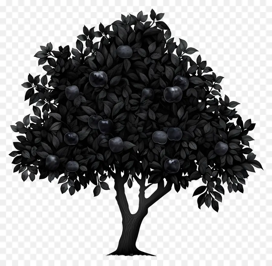 Pohon Apel Hitam，Blackberry PNG