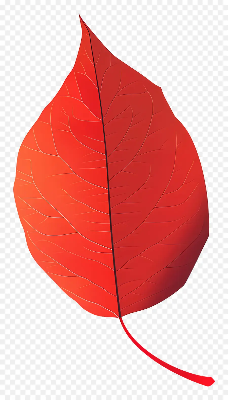 Daun Merah，Bentuk Oval PNG