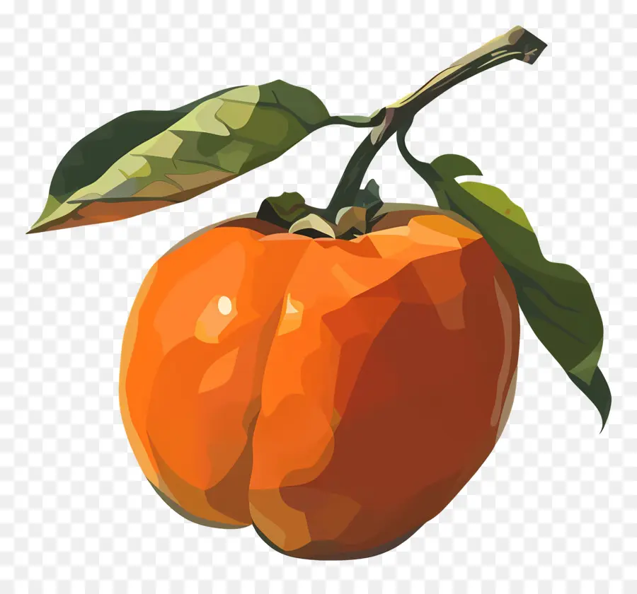 Kesemek，Orange PNG