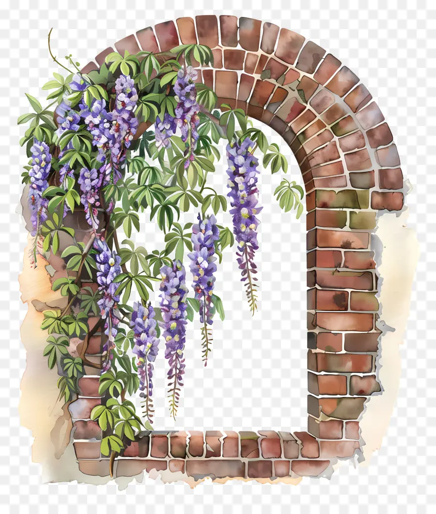 Wisteria Gantung，Cat Air Wisteria PNG