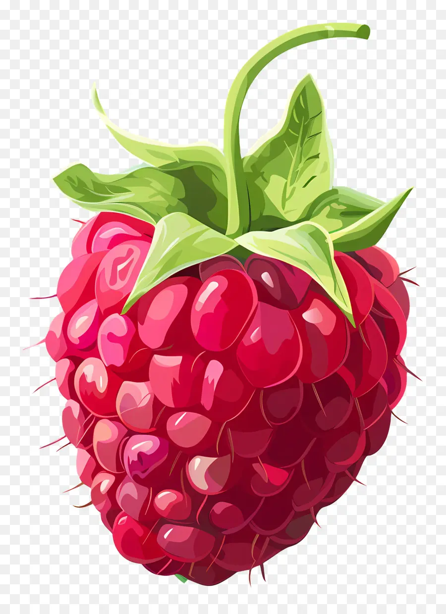 Raspberry，Raspberry Matang PNG