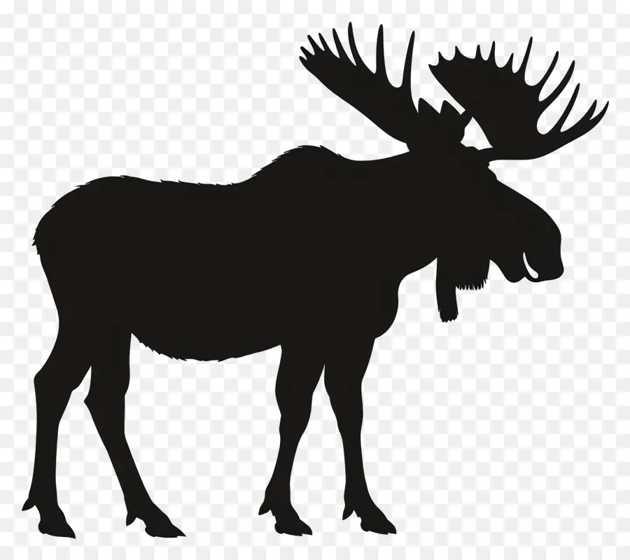 Moose Siluet，Rusa PNG