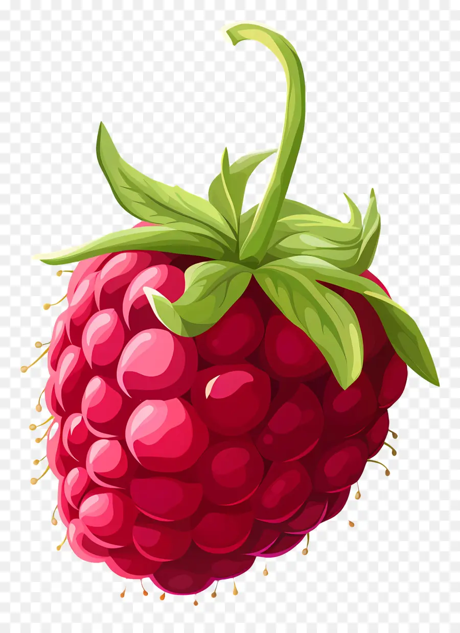 Raspberry，Buah PNG