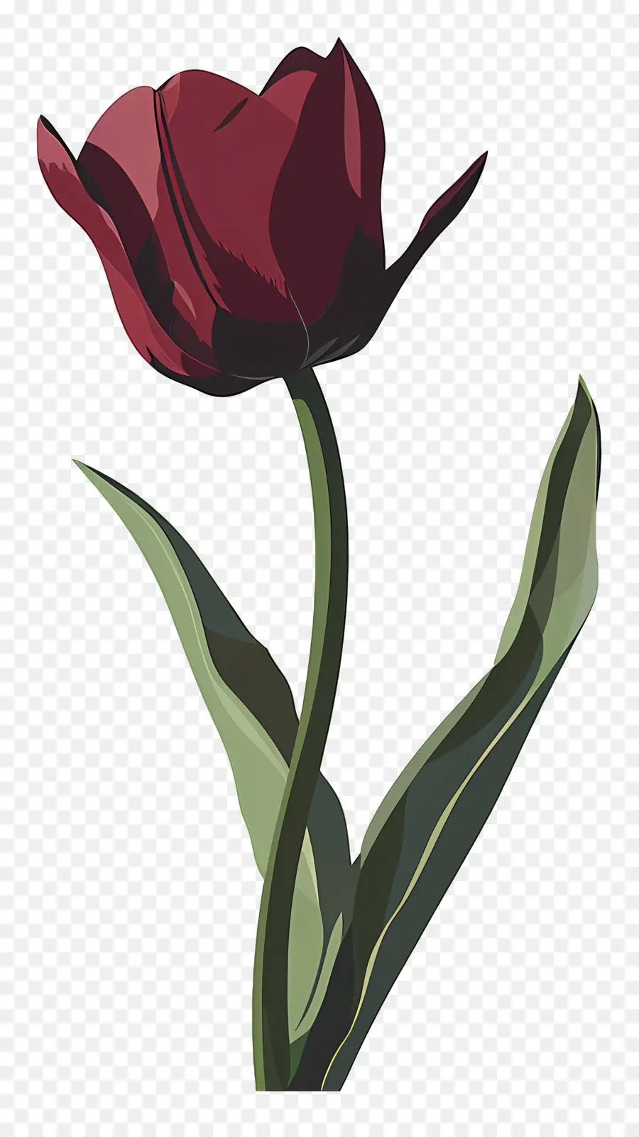 Tulip，Merah PNG