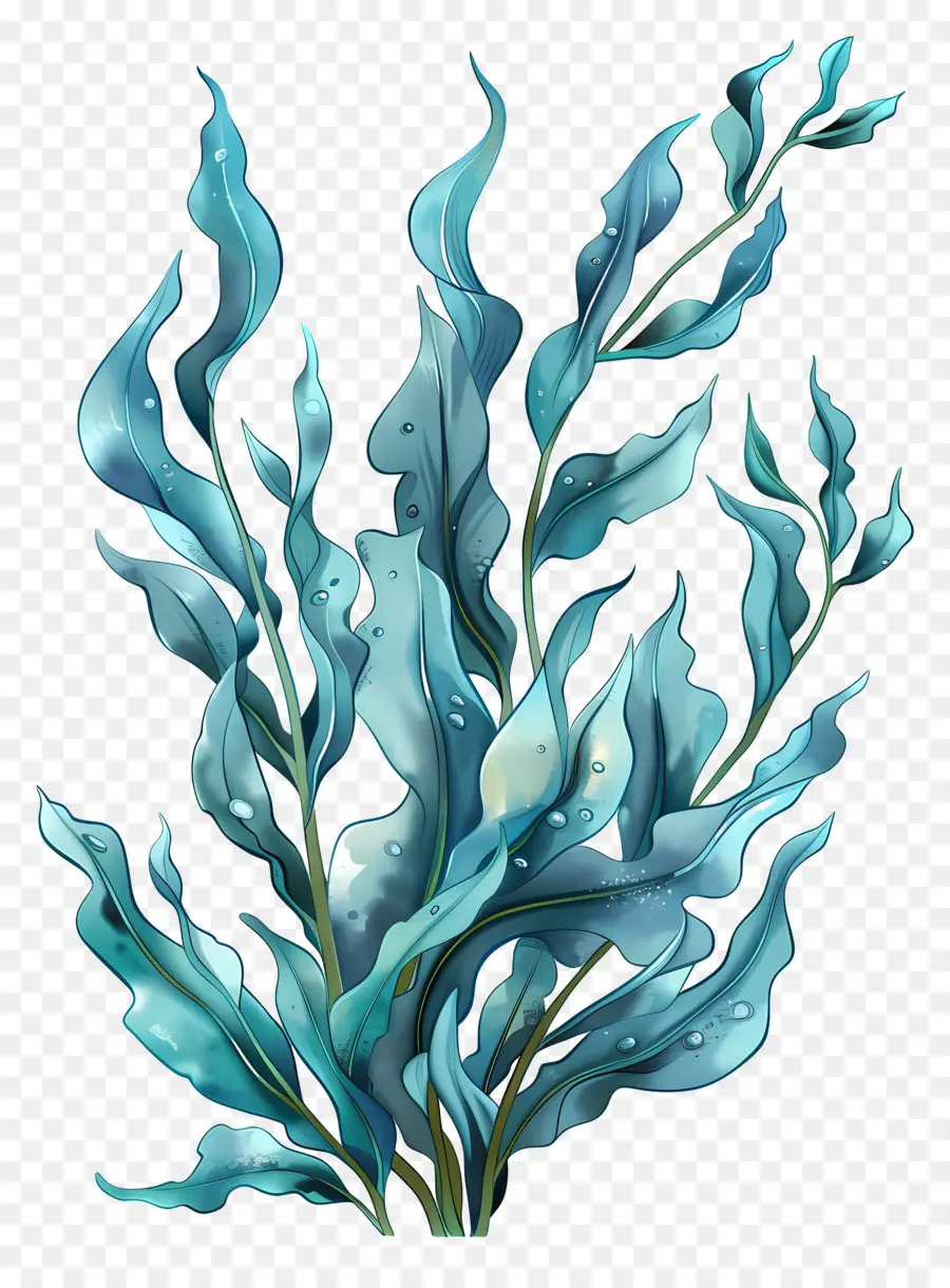 Rumput Laut，Biru PNG