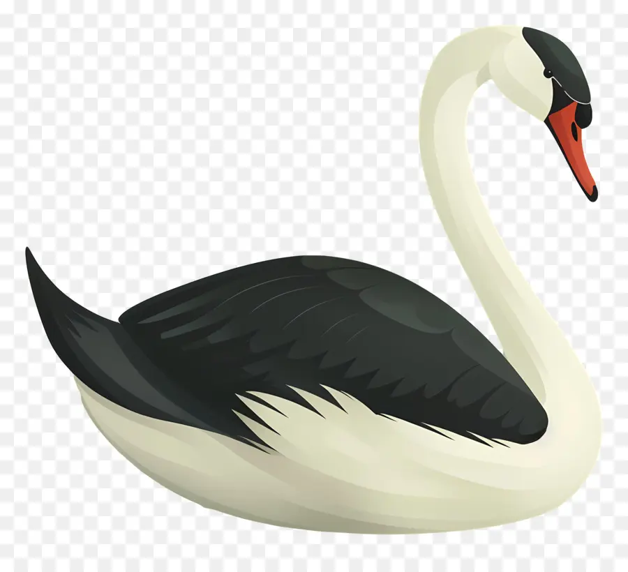 Swan，Unggas Air PNG