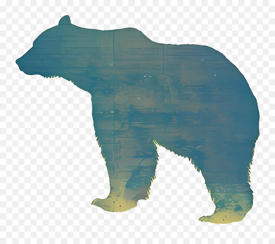 Beruang，Beruang Hitam PNG