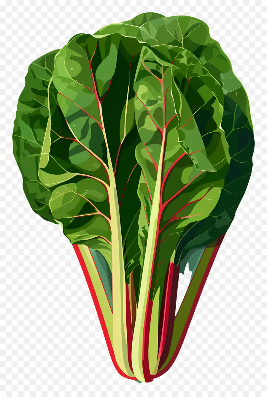 Chard，Bayam PNG