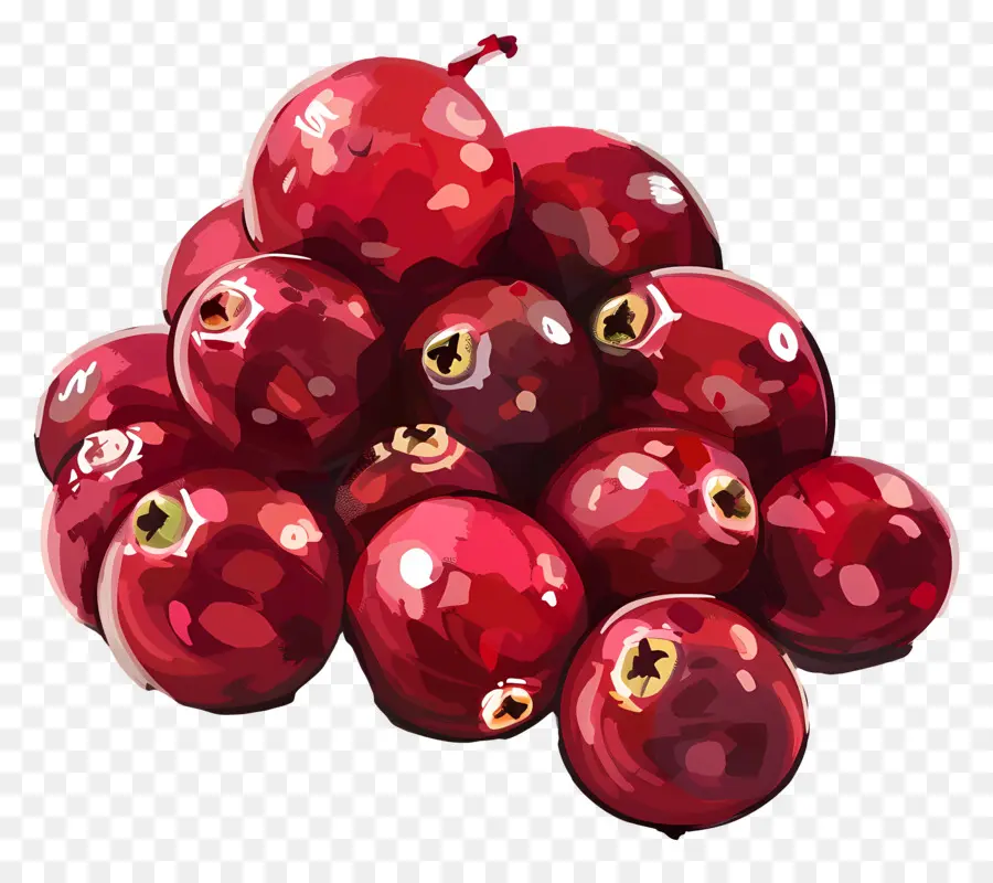 Cranberry，Anggur Merah PNG